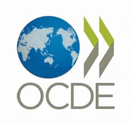 INTERPRÉTATION OCDE